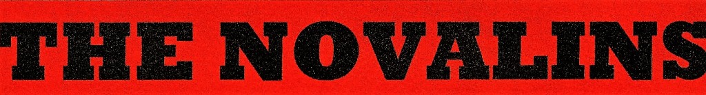 THE NOVALINS LOGO (2)